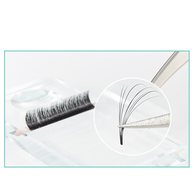 Magnetic Grafting Of False Eyelashes - WarmEssence Essentials