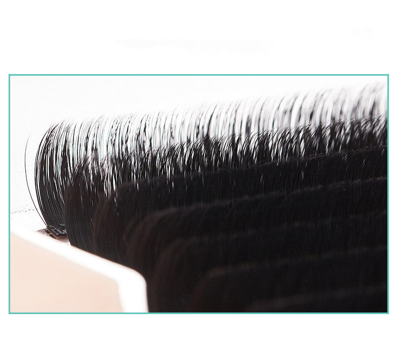 Magnetic Grafting Of False Eyelashes - WarmEssence Essentials