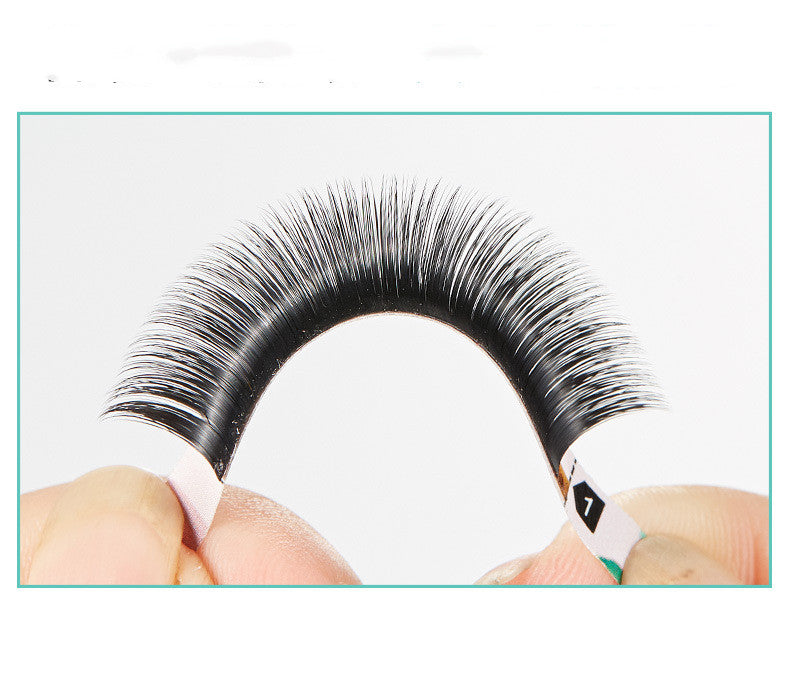 Magnetic Grafting Of False Eyelashes - WarmEssence Essentials